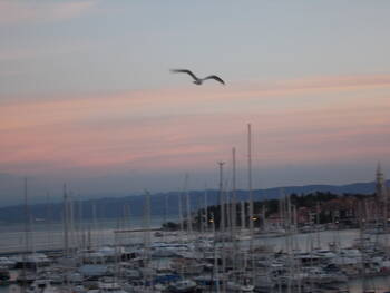 Keine Beschreibung für Izola, 2016 005.JPG